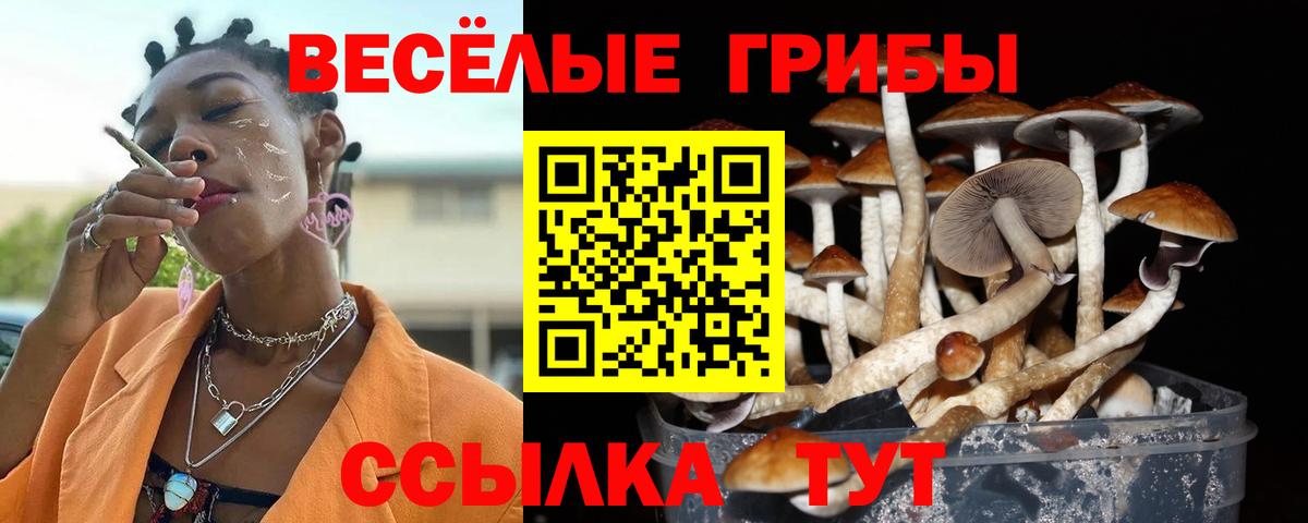 Галлюциногенные грибы мухоморы Лиски
