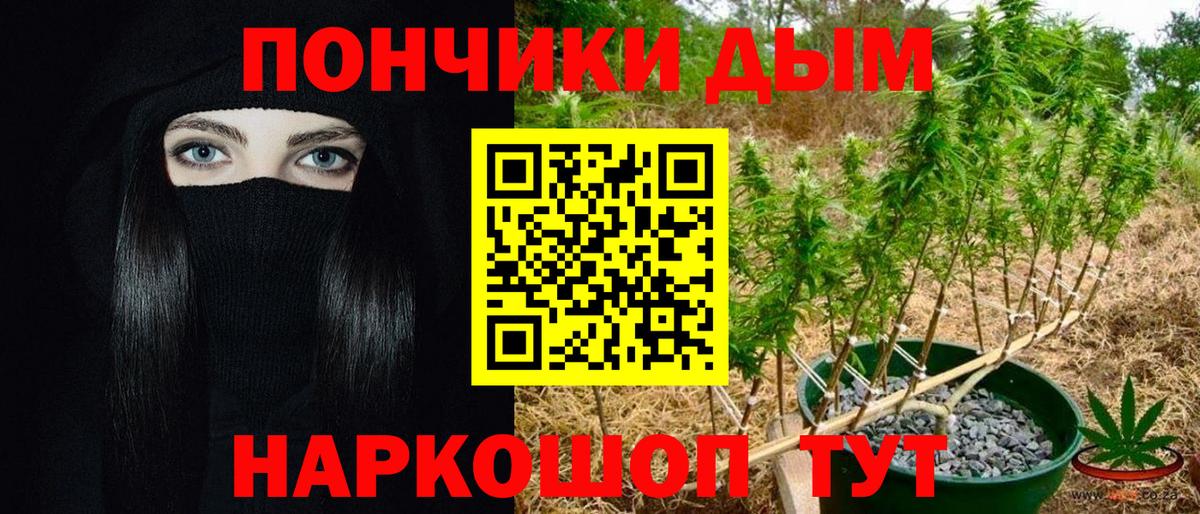 Канабис планчик Лиски
